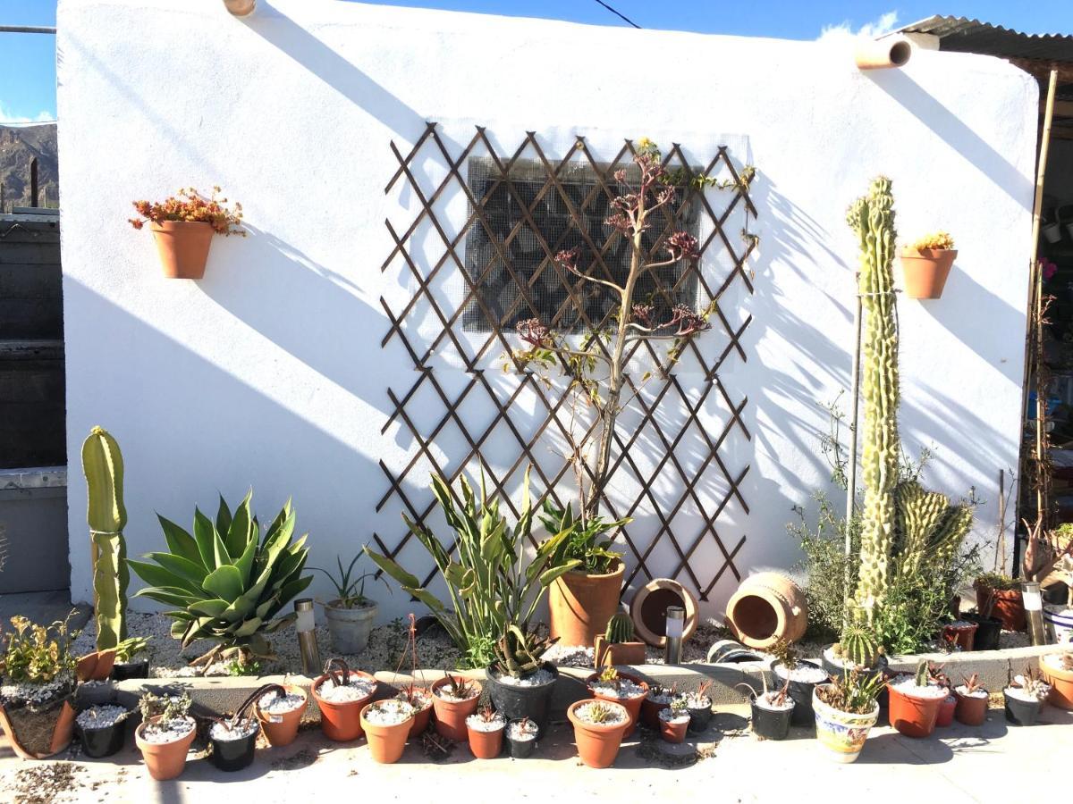 Villa Aurora Nijar Parque Natural Cabo Gata المظهر الخارجي الصورة