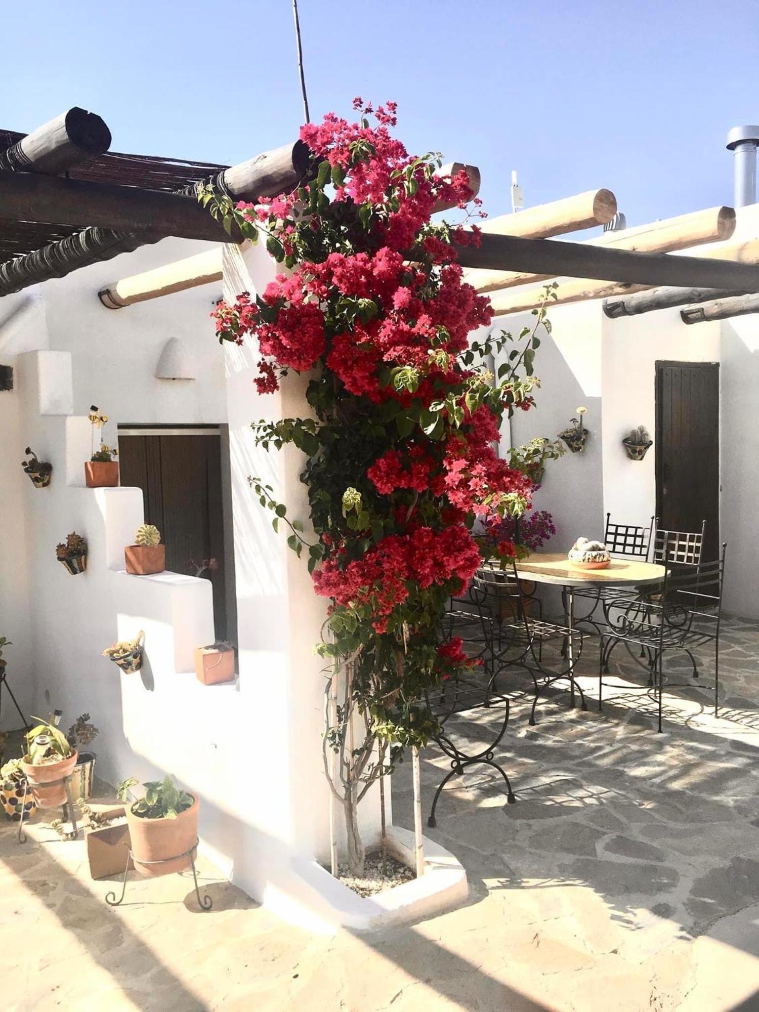 Villa Aurora Nijar Parque Natural Cabo Gata المظهر الخارجي الصورة